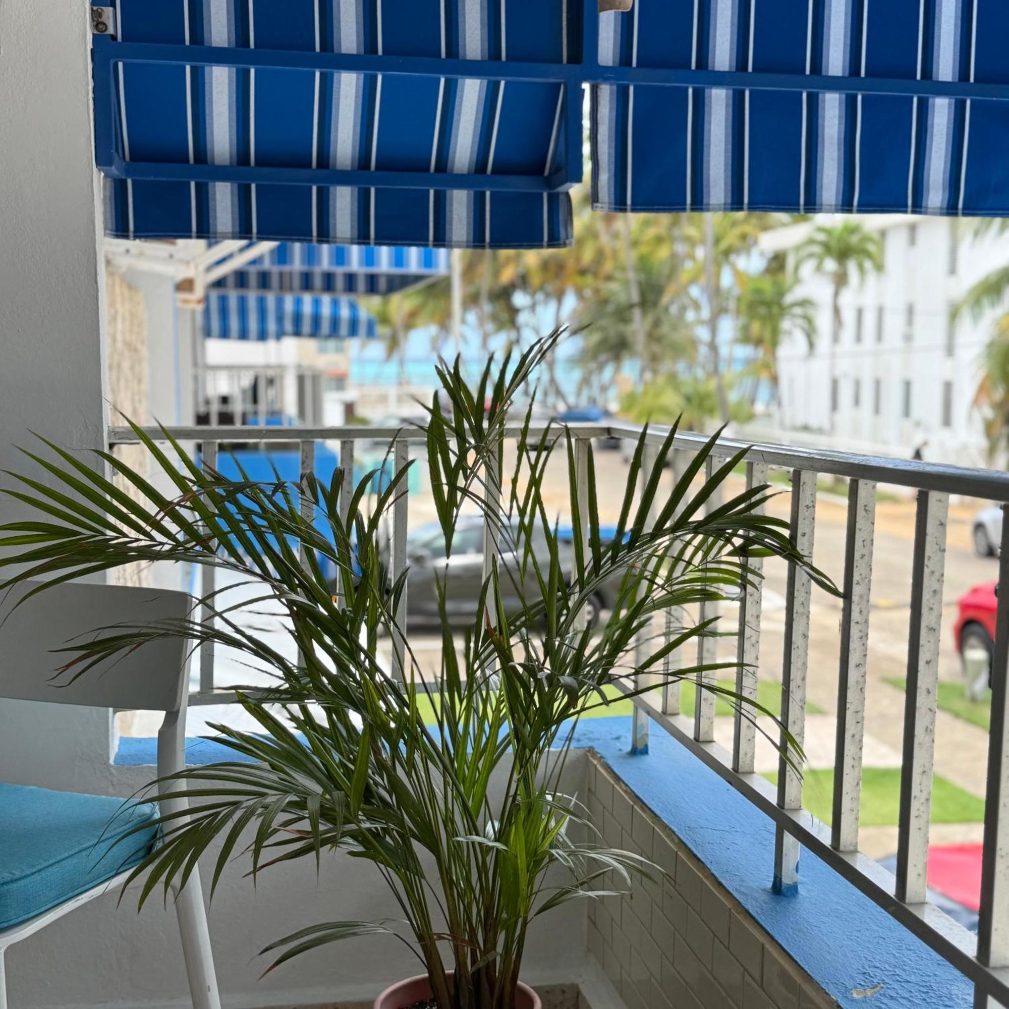 Oceanview Apartment Steps To The Beach Luquillo Exteriér fotografie